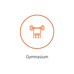 Gymnasium