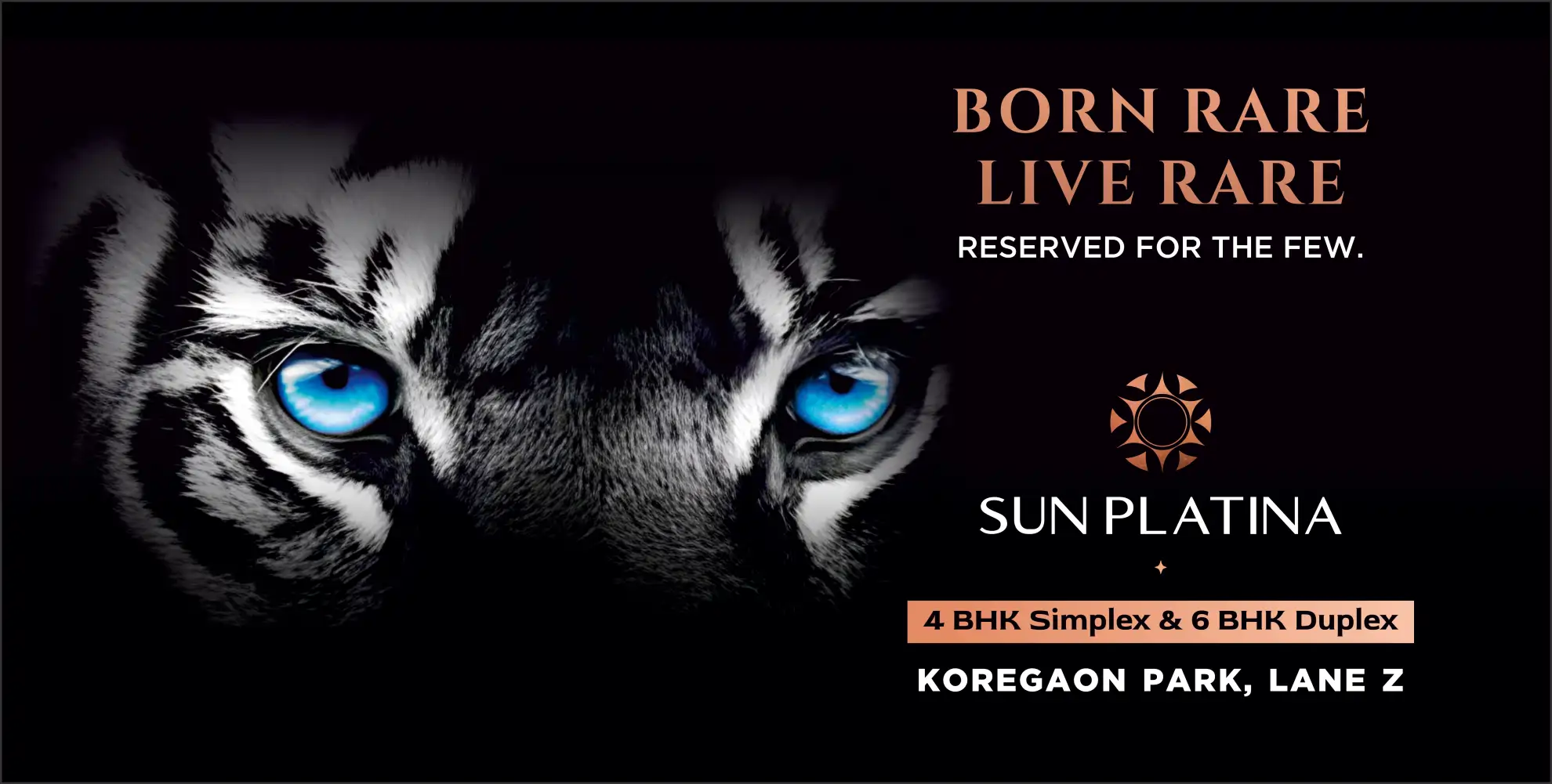 Mittal Builders premium project