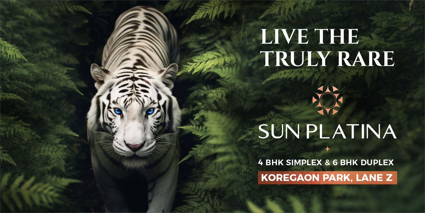 Mittal Builders premium project